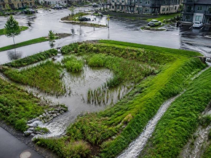 Urban stormwater runoff flowing into a vegetated detention basin and constructed wetland in Plano, Texas.